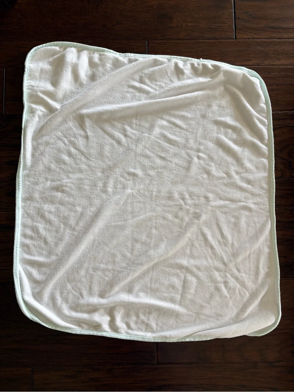 Vintage Sesame Street White Reigel style Hooded Baby Towel